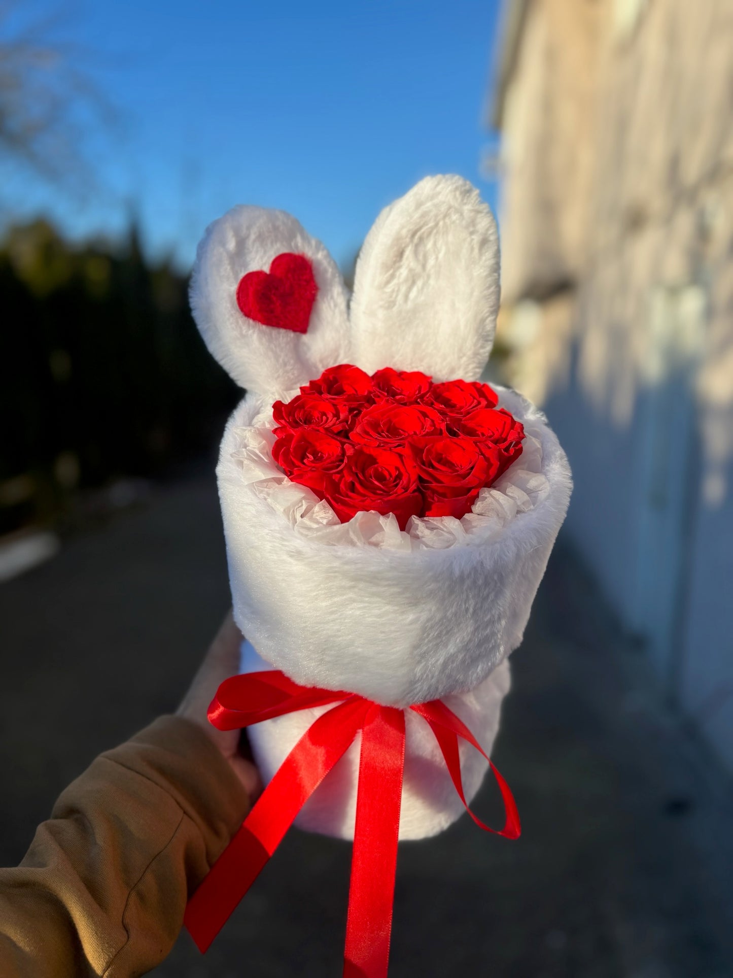 The Red Bunny