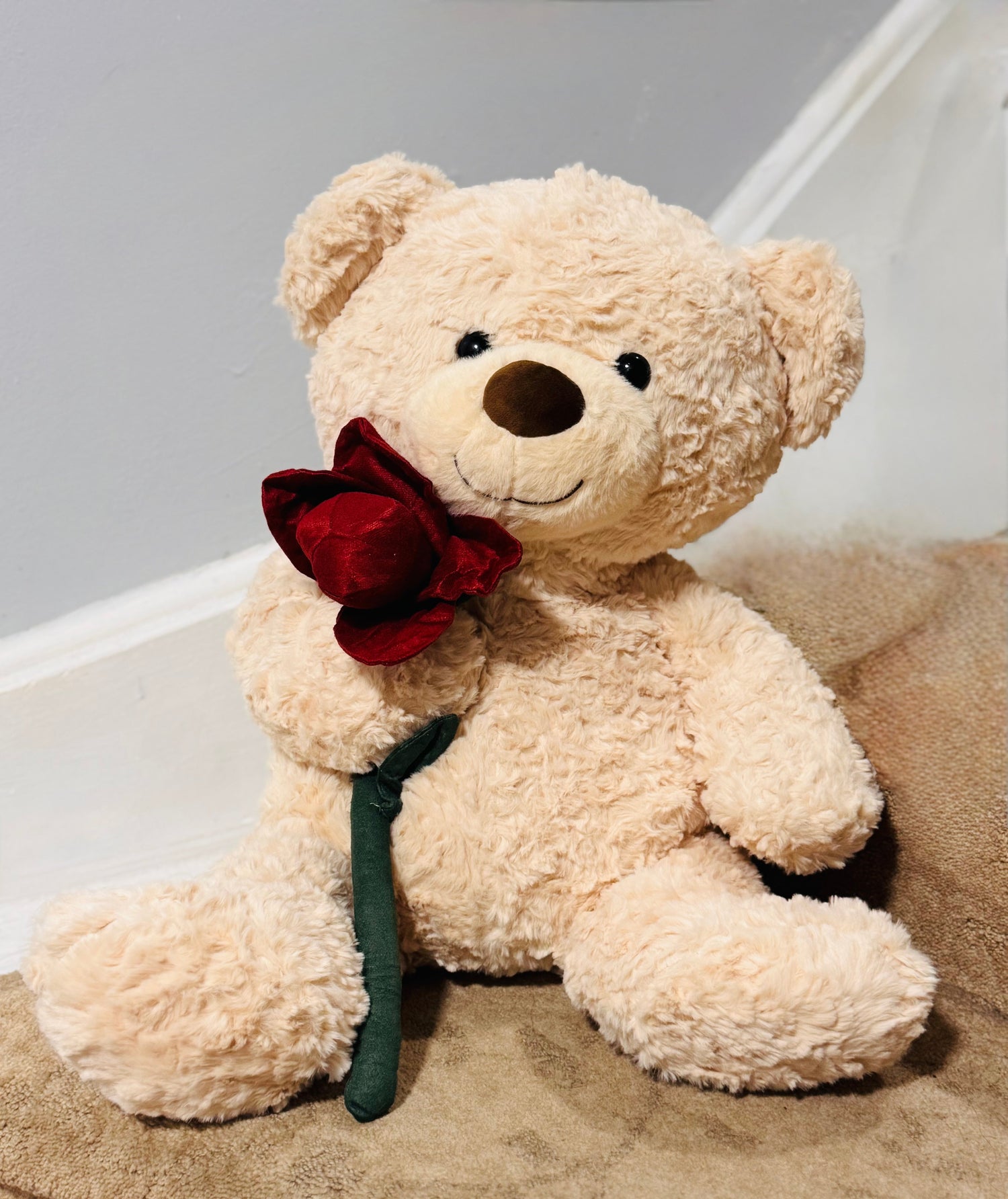 Apology Gifts