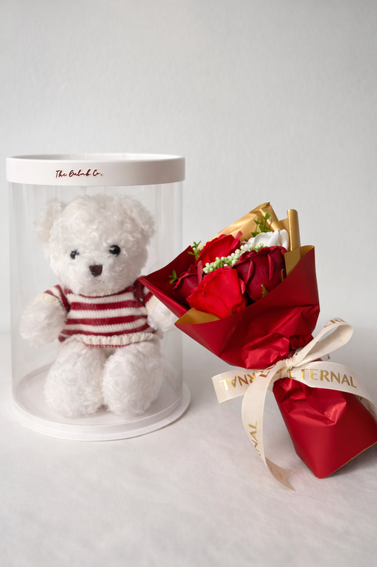 Plush Teddy Combo