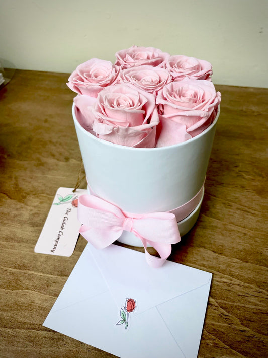 Small Timeless Bucket Pink