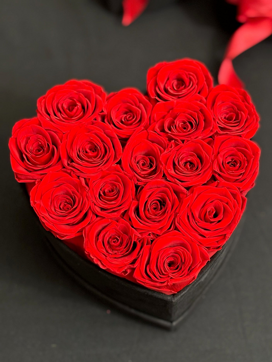 Forever Amour Grande Black